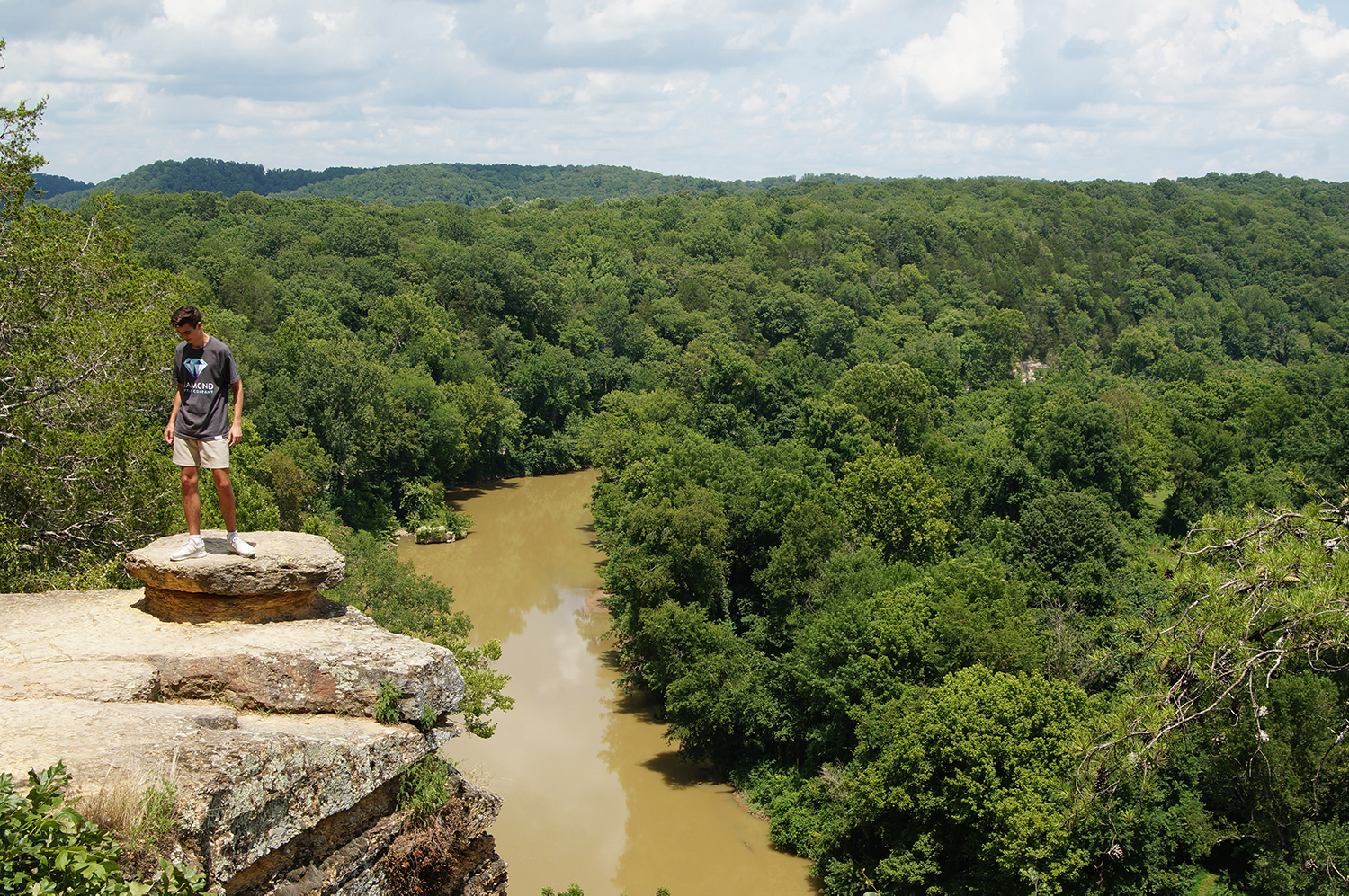Rock at Narrows of the Harpeth State Park