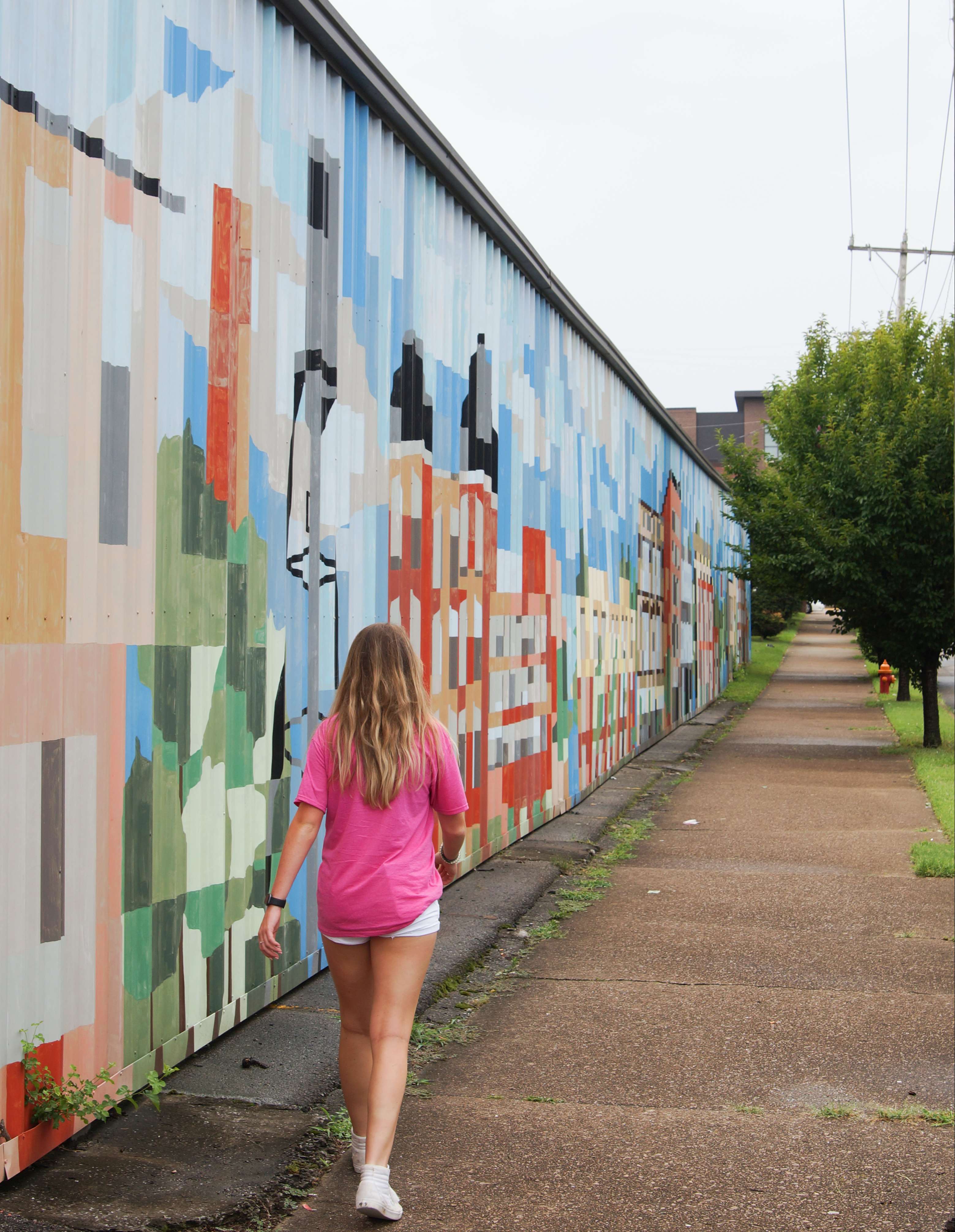 Iconic Nashville Scenes Mural